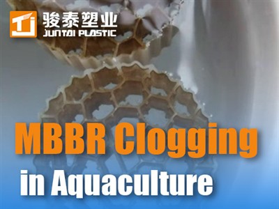 Prevención de obstrucciones de MBBR en acuicultura: tácticas de control de bi...